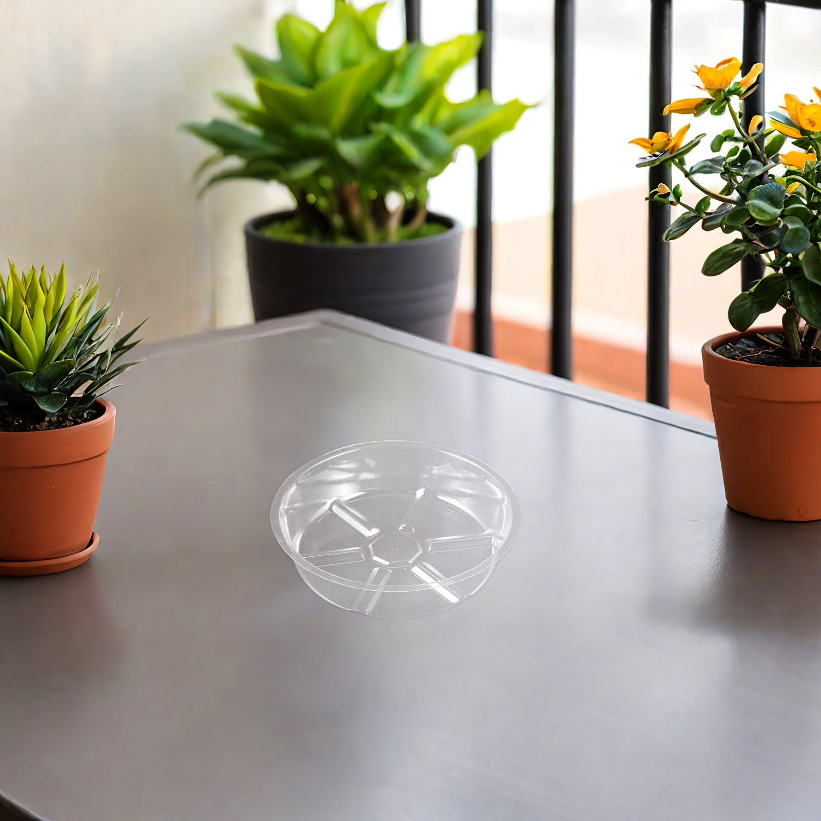 12Pcs Plastic Flower Pot Drip  - Drip Tray Saucer ulasan dan harga